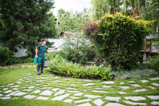 Best Mosquito Control Services  in Emerd Mountain, AL