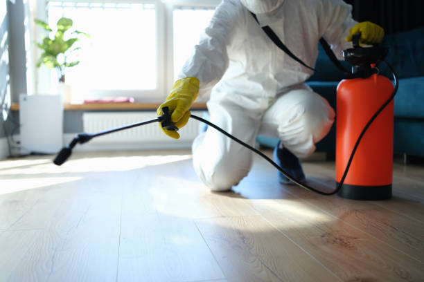 Best Local Pest Control Services  in Emerd Mountain, AL