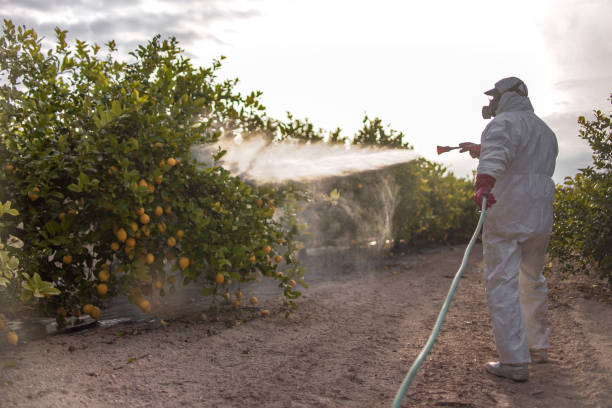 Best Commercial Pest Control Services  in Emerd Mountain, AL