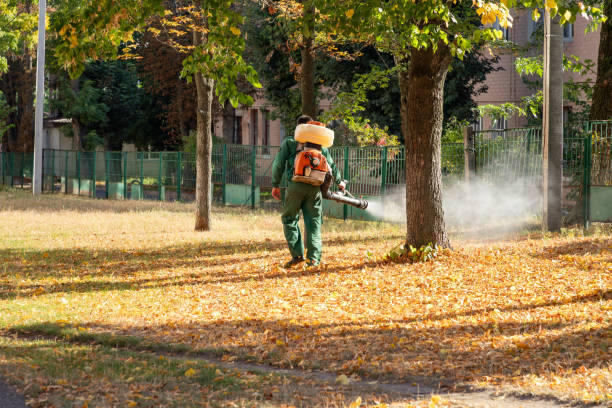 Best Termite Control Services  in Emerd Mountain, AL